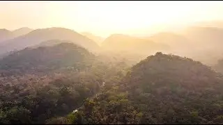 The Amazon Rainforest in 3Dio Binaural Audio