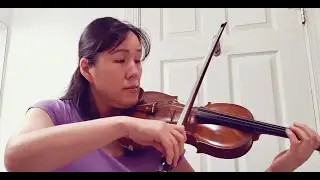 My Heart Will Go On - Titanic : Violin Cover