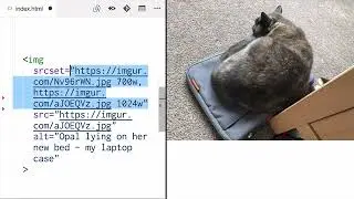 09 - Create Responsive Image Display in Scikit-Learn: Change Image Resolutions with Viewport Width