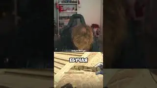 лысина строго 