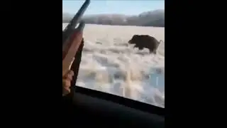 Это не охотники.