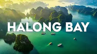 Top 10 Best Things To Do In Halong Bay, Vietnam [Halong Bay Travel Guide 2024]