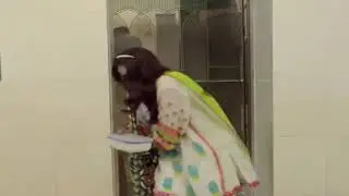 Ayeza Khan Funny Short Video Viral