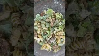 Chicken Caesar Pasta Salad #recipe ￼