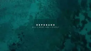 Benny Jamz & Gilli - Reposado (STUCHLY Remix) (Visualizer)