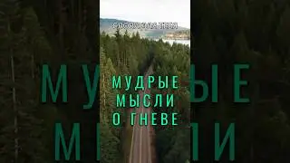 Цитаты о Гневе | Мудрые Слова, которые Важно Знать #мудрость #цитаты #психология #жизнь#саморазвитие