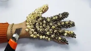 Remove millions giant ticks on hand