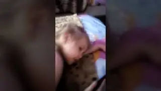Пошли в садик. Ты чё