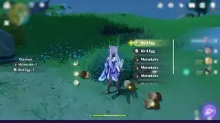 Unlimited Matsutake & Eggs | Genshin Impact