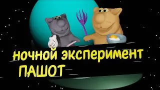 пашот