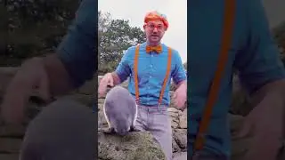 Blippi Silly Penguin Dance! 