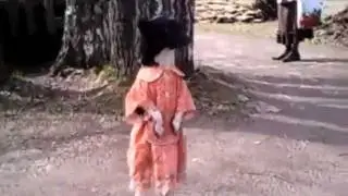 Dog in dress walks like people