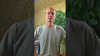 Как электорат научили отдыхать..
