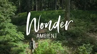 Wonder: Ambient Dreamscape