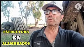 ESTRUCTURA EN ALAMBRADOS.