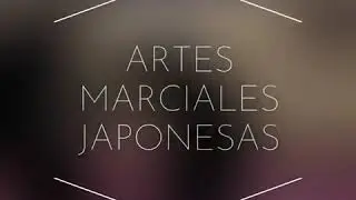 Budo Taijutsu en Bujinkan Tenryu Dojo