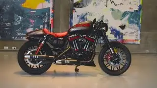 Battle of the kings: H-D® Coyote