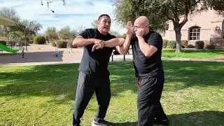 Martial Arts technique for takedown #fma #kali