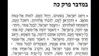 פרשת השבוע פרשת פנחס