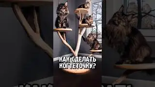 Как я сделал когтеточку 