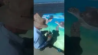 Local artist Ian Moule working on his mural on the V-Wall at Nambucca Heads