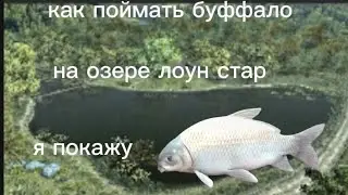 показываю как ловить буффало на озере лоун стар