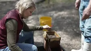 Gold Panning, Part 1