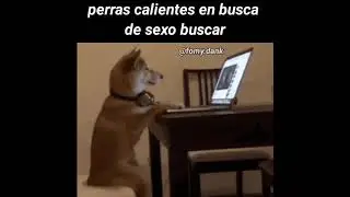 Perras calientes en busca de s3xo buscar
