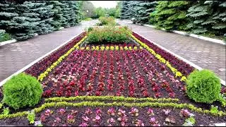 СКАЗАНИЕ О КРАСОТЕ РУКОТВОРНОЙ (The Legend of the Beauty of Man - made)