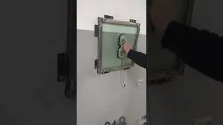 Голмидон-бабочка двойная