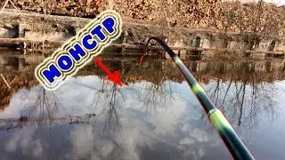 ЖЕСТЬ!!! ВОТ ЭТО РЫБАЛКА!!! ЛОВЛЯ НА ПОПЛАВОК В ГОРОДСКОМ РУЧЬЕ!!!