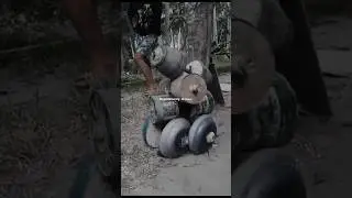 Meanwhile in the Philippines..