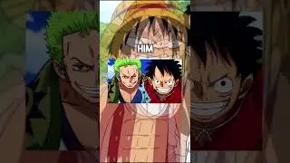 Zoro Will Betray Luffy And The Strawhats