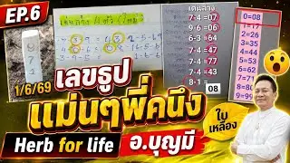 EP.6 Herb for life คุยยาวๆ เด่นล่าง อ.บุญมี เลขธูปแม่นFCพี่คนึง แนวทางใบเหลือง | 1 มิ.ย. 2026 