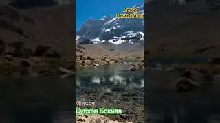 Субхон Бокиев #2024 #гариби Сарам хам накунам