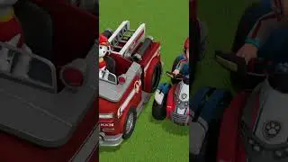 Skye redt Alex en de Super Shaker! - #PAWPatrol Nederlands #Shorts
