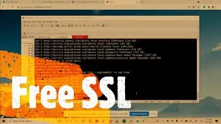 How To Install Free SSL Certificate on Ubuntu web Server