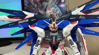 FREEDOM GUNDAM Z.A.F.T Mobile Suit - Different Posing