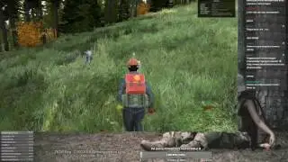 Волки Dayz Я это сделала