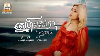 ស្នេហ៍អស់អាយុ   វី ឌីណែត   Lip Sync Version