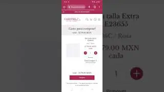 Cómo comprar con ZIP en Lenceria Carnival