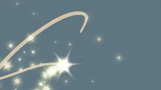 Logo Animation - Sally Taylor Photography