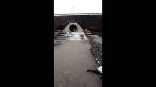 Рыбалка по-русски... Крючки и удочки не нужны. Иностранцы в шоке!!!