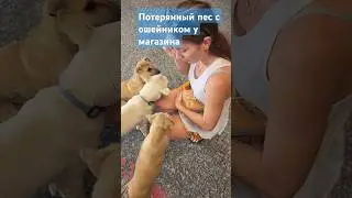 Не пытайся менять систему, делай и все☝️