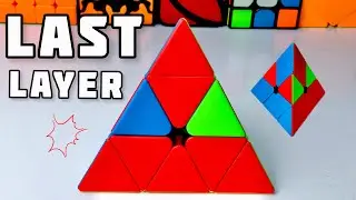 Learn How to solve Last Layer of Pyraminx | Pyraminx Last Layer Algorithms 