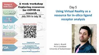 Day 5:  Using Virtual Reality as a resource for in-silico ligand receptor analysis.
