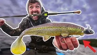 XXL Köder Challenge 🤯