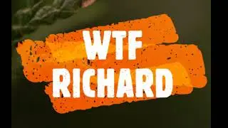 What the Fuck Richard Remix