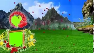 Green screen background flower animation effects frame video