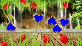 New Green Screen Wedding Video Free Download Green Screen Home